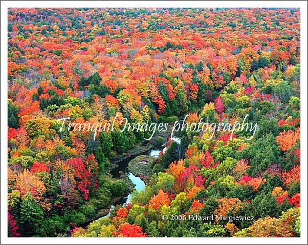 450221---Big Carp River and fall foliage, Porcupine Mountains Wilderness state park. View 3